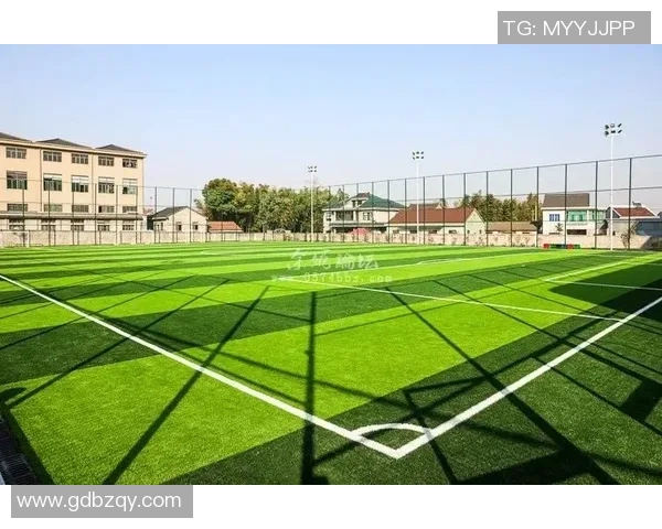 探索专业足球场的设计理念与建设标准助力足球运动发展